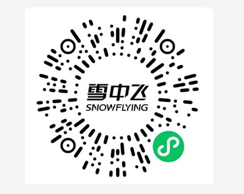 雪中飞