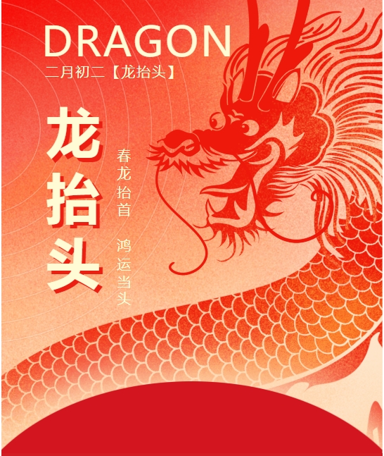 二月二龙抬头，春龙振翅鸿运启 —— 佳木斯网云信息科技有限公司与您共迎新春盛景